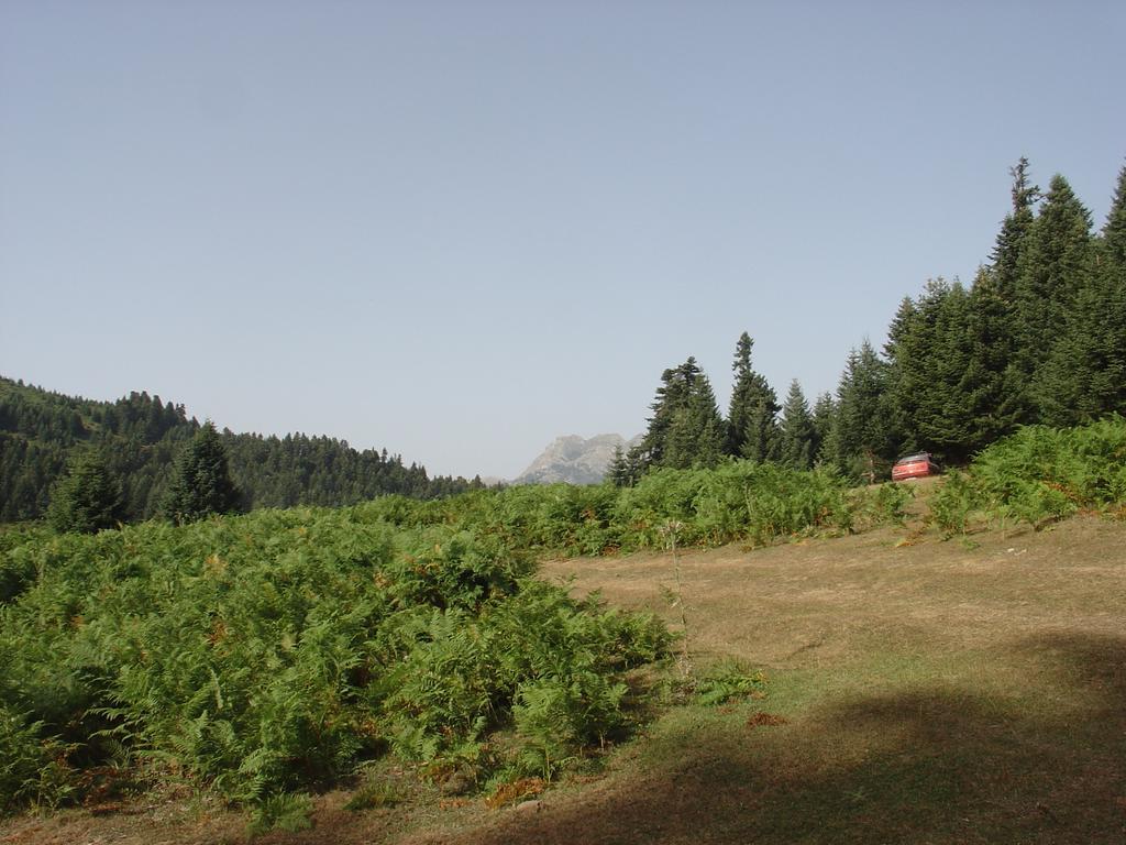 The Lake'S House Kryonerion Екстер'єр фото